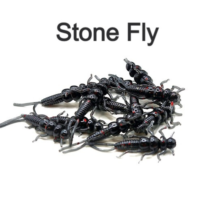 Mudslide Stone Fly